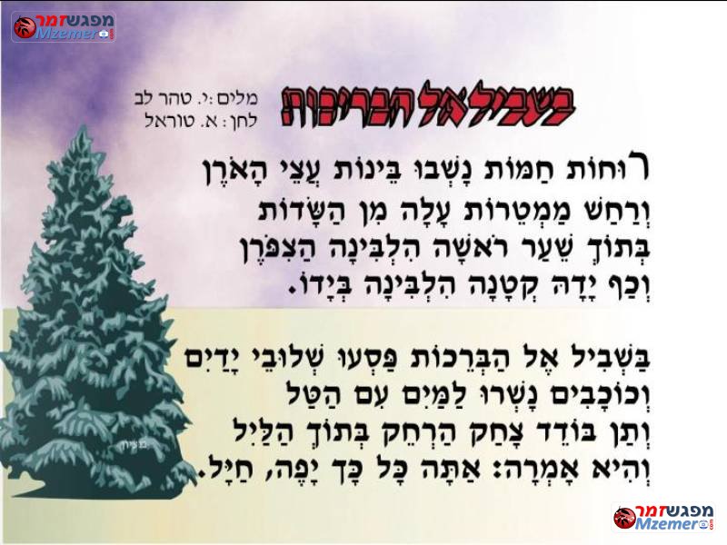 [428]בשביל אל הבריכות