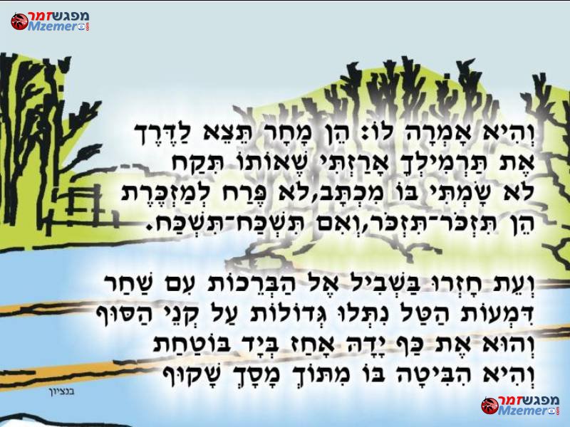 [428]בשביל אל הבריכות