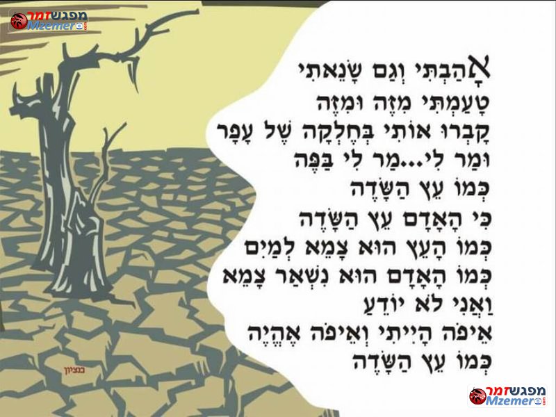 [1066]כי האדם עץ השדה