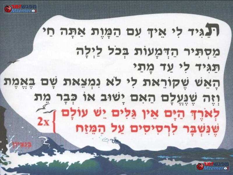 [1141]לאורך הים