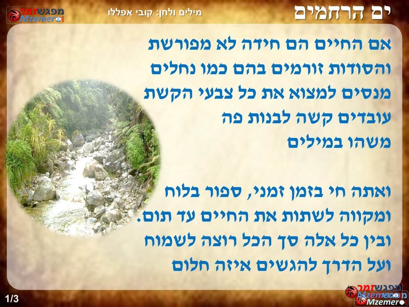 [3446]ים הרחמים