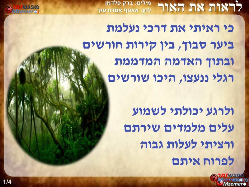 [3447]לראות את האור
