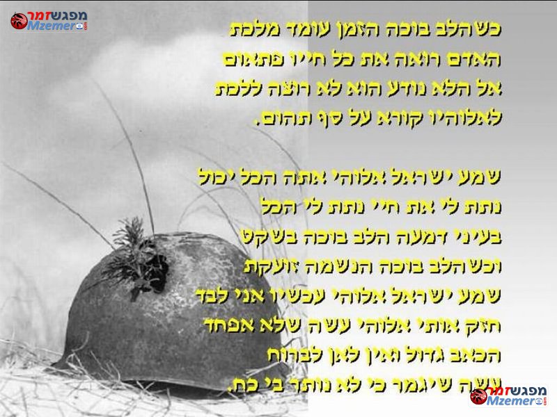 [1117]כשהלב בוכה