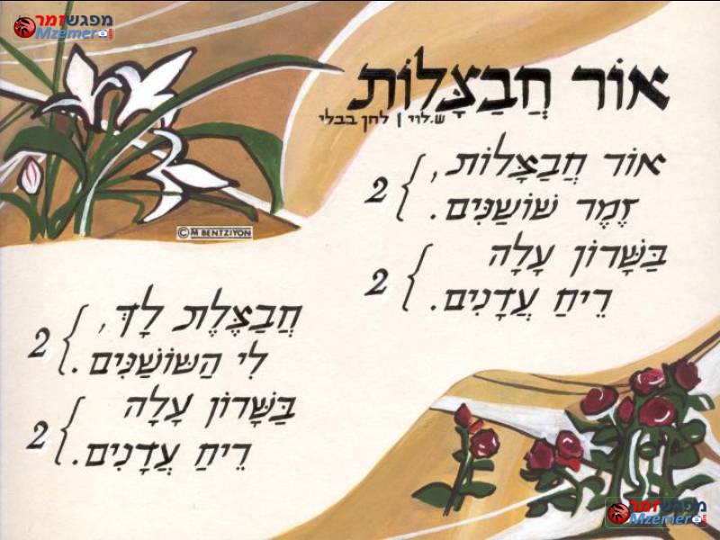 [56]אור חבצלות