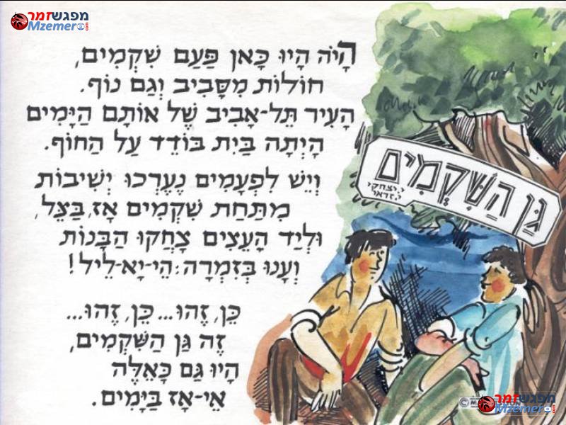 [466]גן השקמים