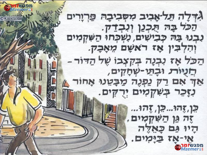 [466]גן השקמים