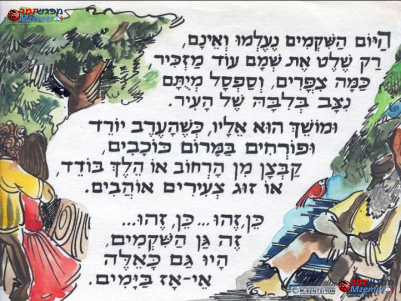 [466]גן השקמים