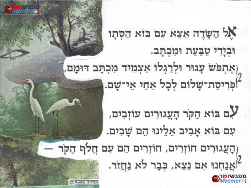 [725]העגורים