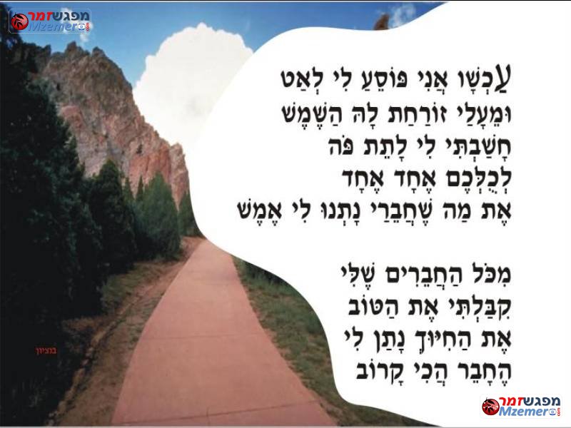 [871]חברים