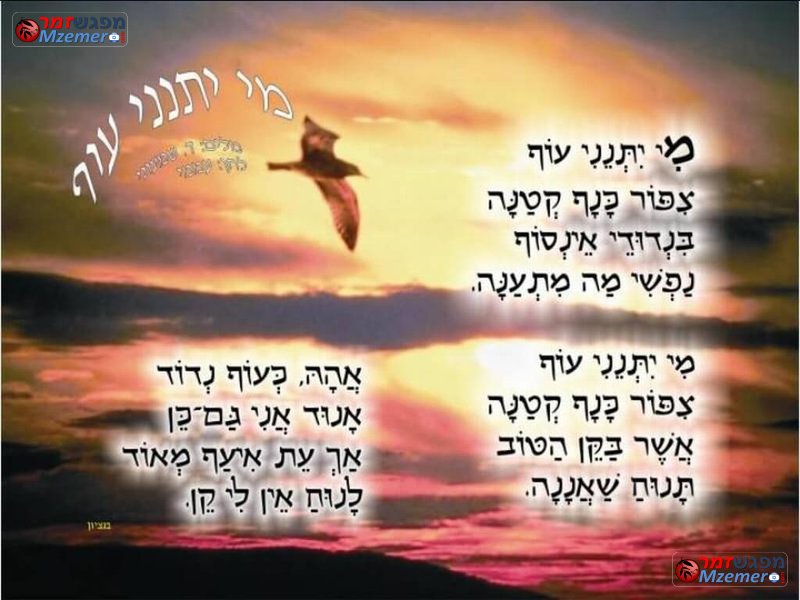 [1304]מי יתנני עוף