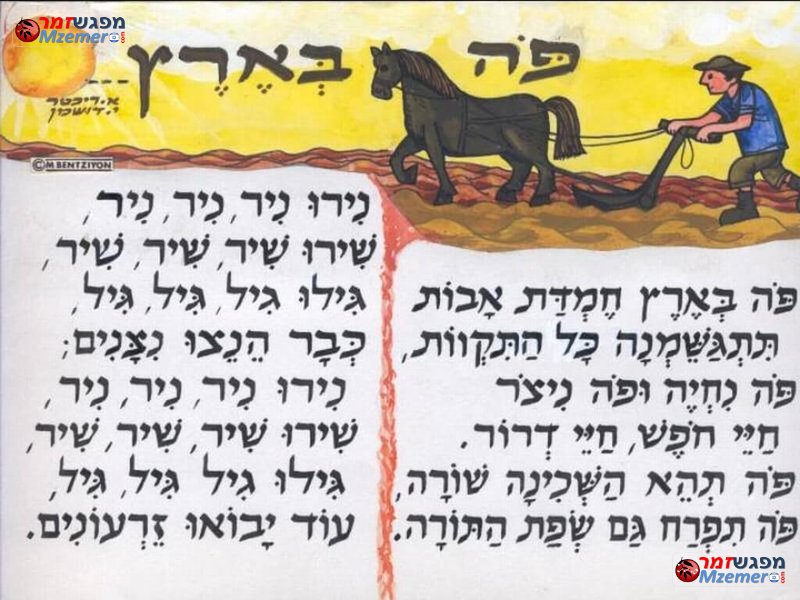 [1572]פה בארץ