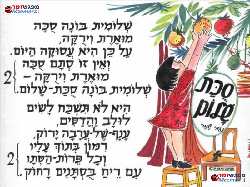 [1893]שלומית בונה סוכה