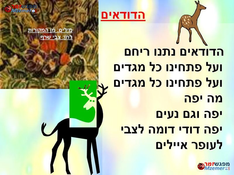 [563]הדודאים