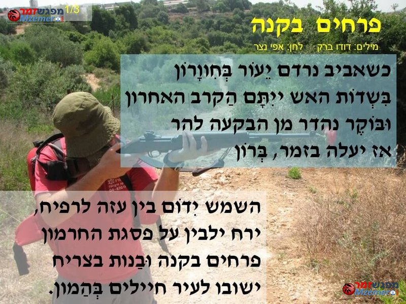 [1594]פרחים בקנה