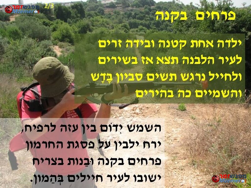 [1594]פרחים בקנה