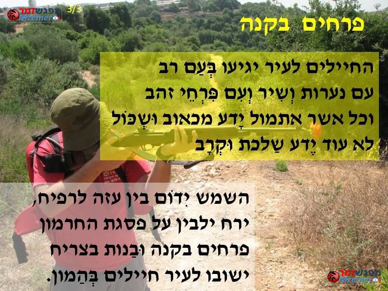 [1594]פרחים בקנה