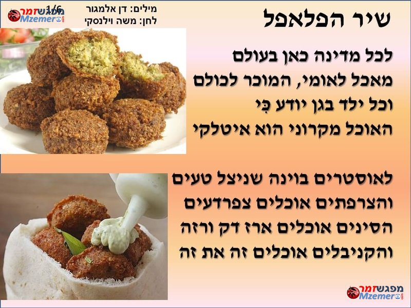 [1806]שיר הפלאפל