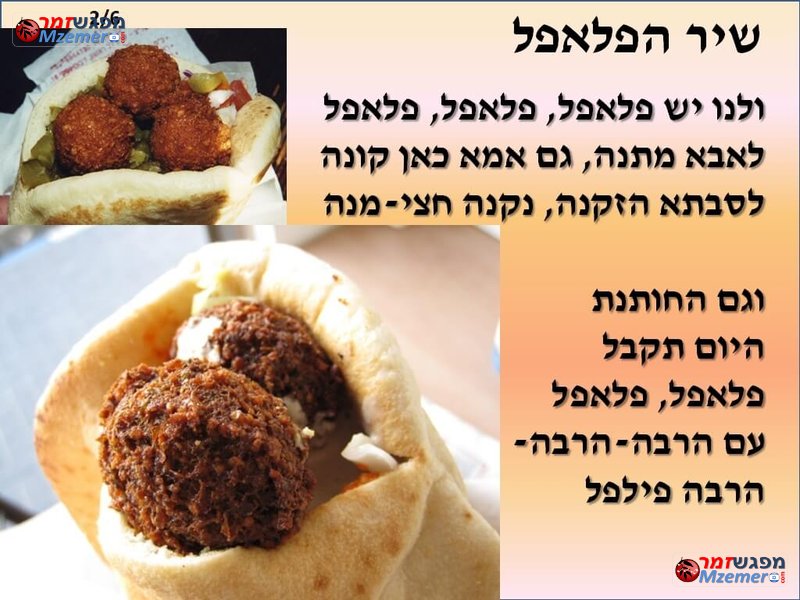 [1806]שיר הפלאפל