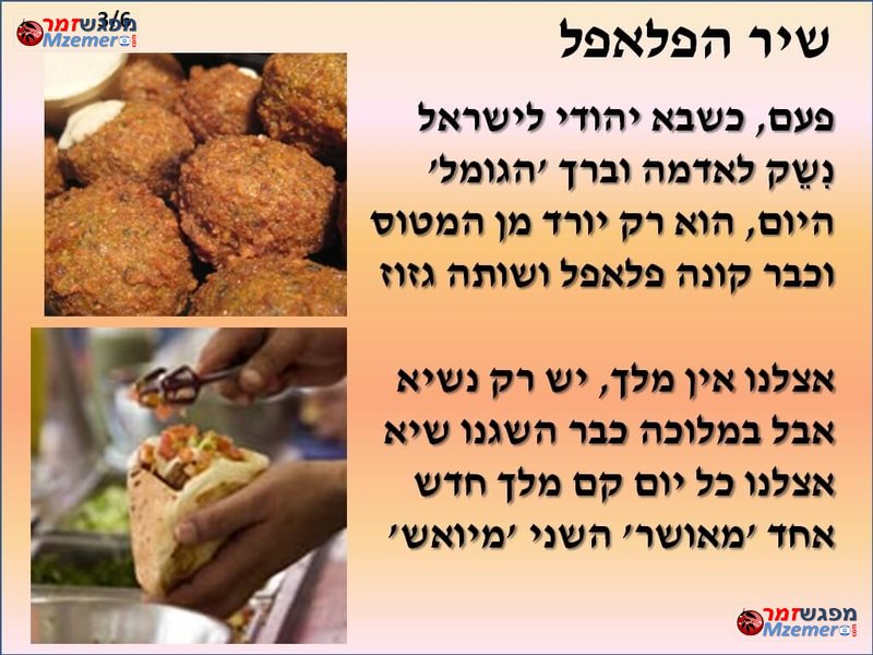 [1806]שיר הפלאפל