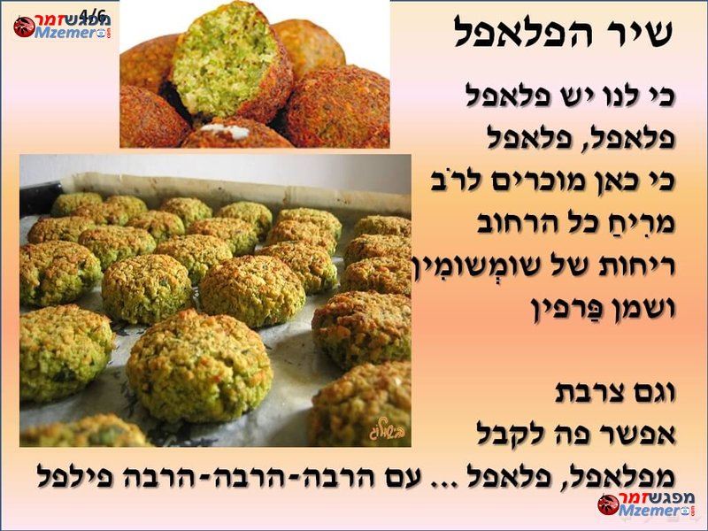 [1806]שיר הפלאפל