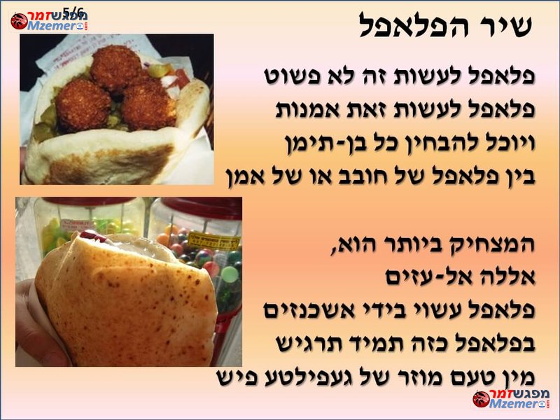 [1806]שיר הפלאפל