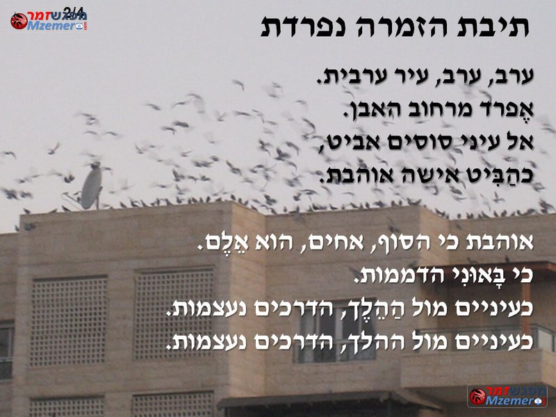 [1958]תיבת הזמרה נפרדת