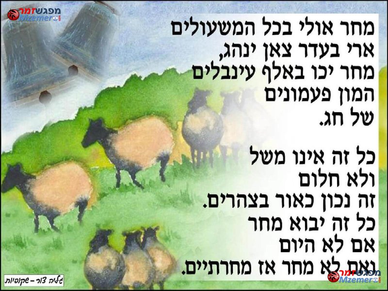 [1281]מחר