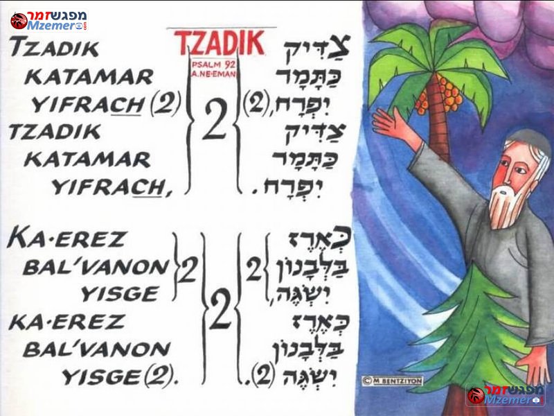 [1608]צדיק כתמר