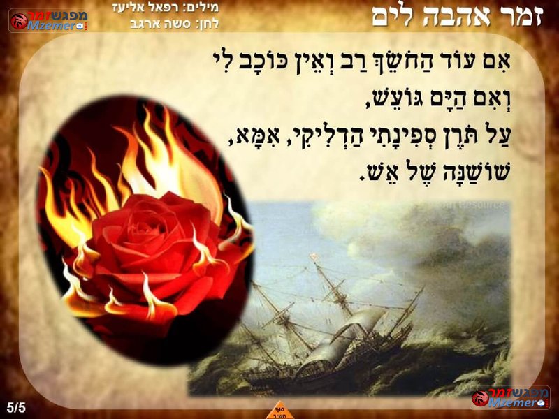 [846]זמר אהבה לים