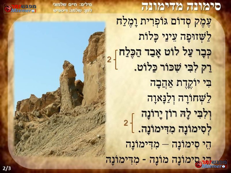 [1446]סימונה מדימונה