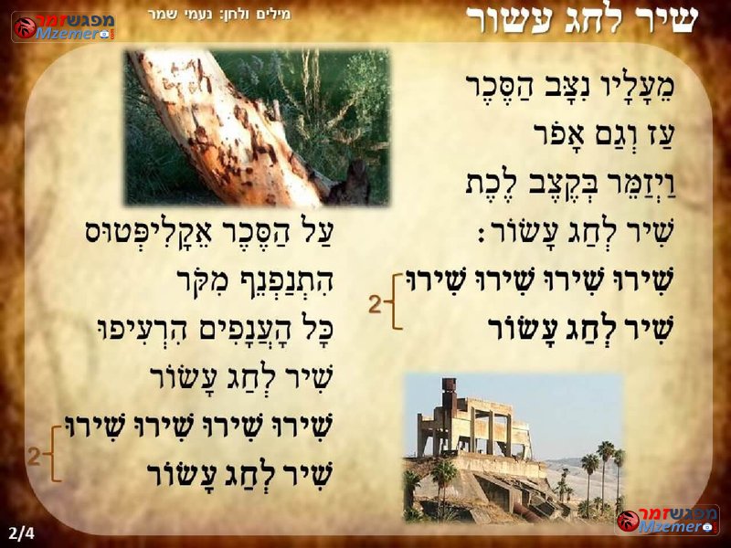 [1829]שיר לחג עשור