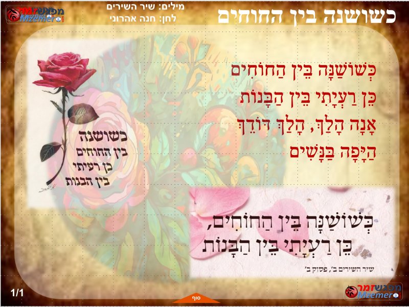 [3600]כשושנה בין החוחים